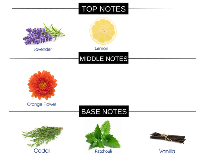 WOODY AROMATIC COMPARE TO GUILTY MEN FRAGRANCE BODY OIL