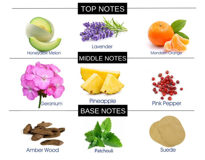 COMPARE TO JIMMY CHOO MEN FRAGRANCE BODY OIL