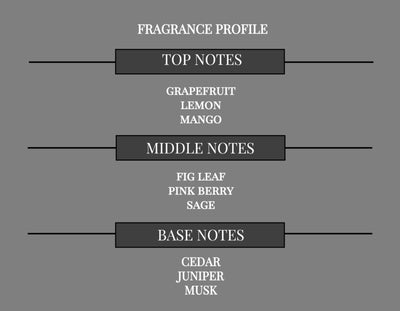 COMPARE TO PARIS HILTON MEN FRAGRANCE BODY OIL