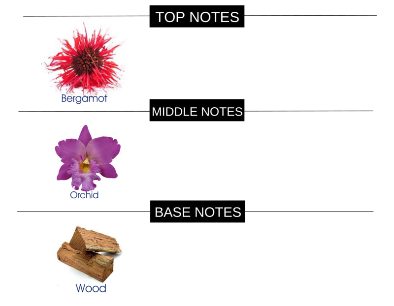 BITTER BERGAMOT COMPARED TO TEASE PLEASE FRAGRANCE BODY BUTTER