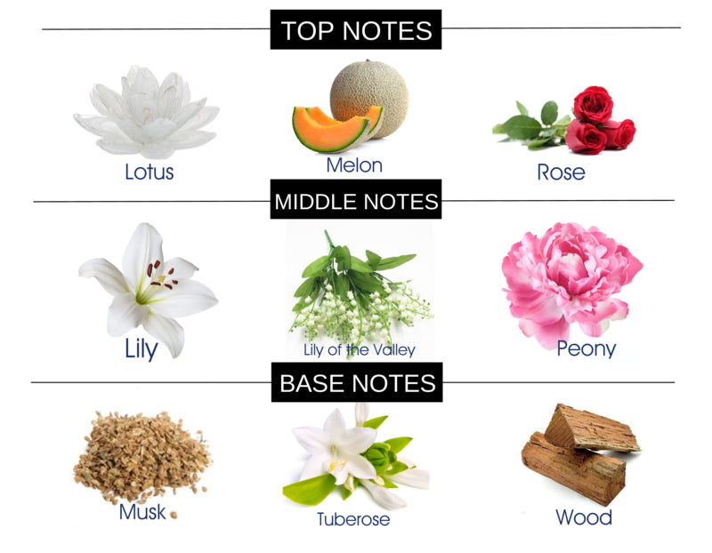 THE ORIENT COMPARE TO LEAU D ISSEY MIYAKE WOMEN FRAGRANCE BODY OIL