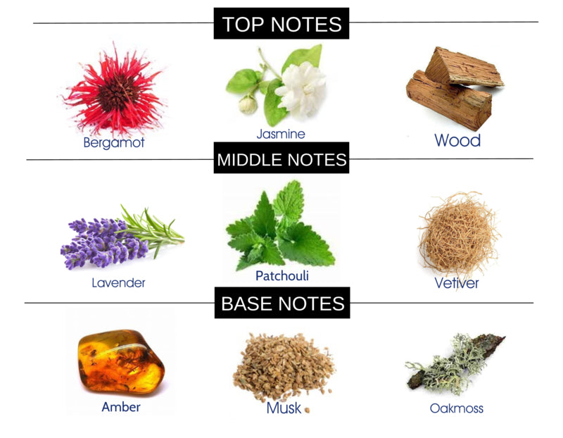 fragrance body oils list