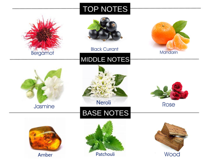 COMPARE TO SI FRAGRANCE BODY BUTTER