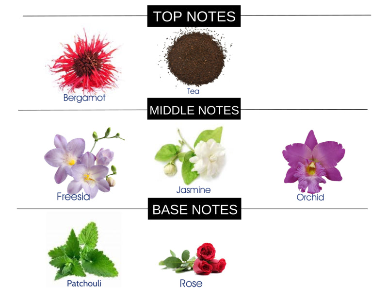 COMPARE TO FLOWERBOMB  FRAGRANCE BODY SPRAY