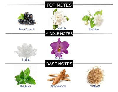 EXOTIC FLOWER COMPARE TO BLACK ORCHID FRAGRANCE BODY SPRAY